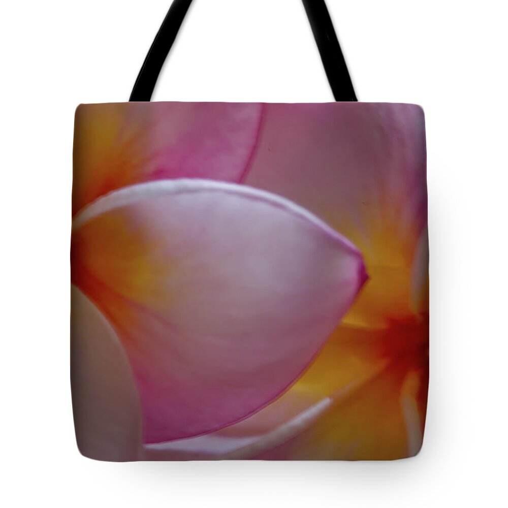Plumeria Tote Bag featuring the photograph Plumeria Pair by Roger Mullenhour