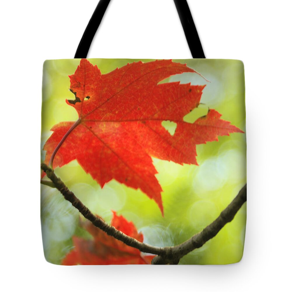 red Maple Leaf Tote Bag featuring the photograph Poesie d'Automne by Aimelle Ml