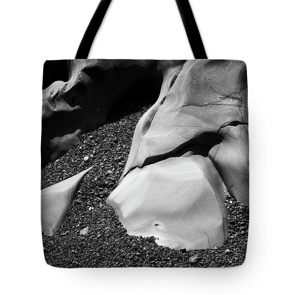 Point Lobos Tote Bag featuring the photograph Point Lobos I by David Gordon