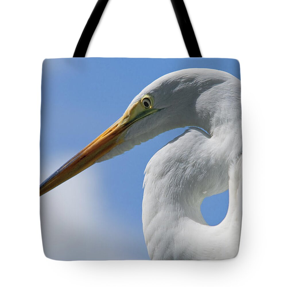 Bird Tote Bag featuring the photograph Pointed Curves by Christopher Holmes