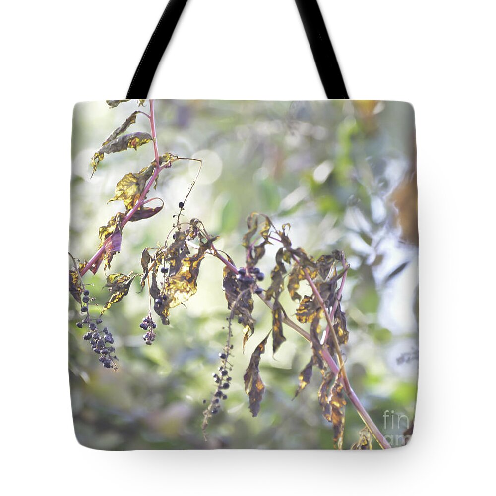Pokeberry Tote Bag featuring the photograph Pokeberry Light by Kerri Farley