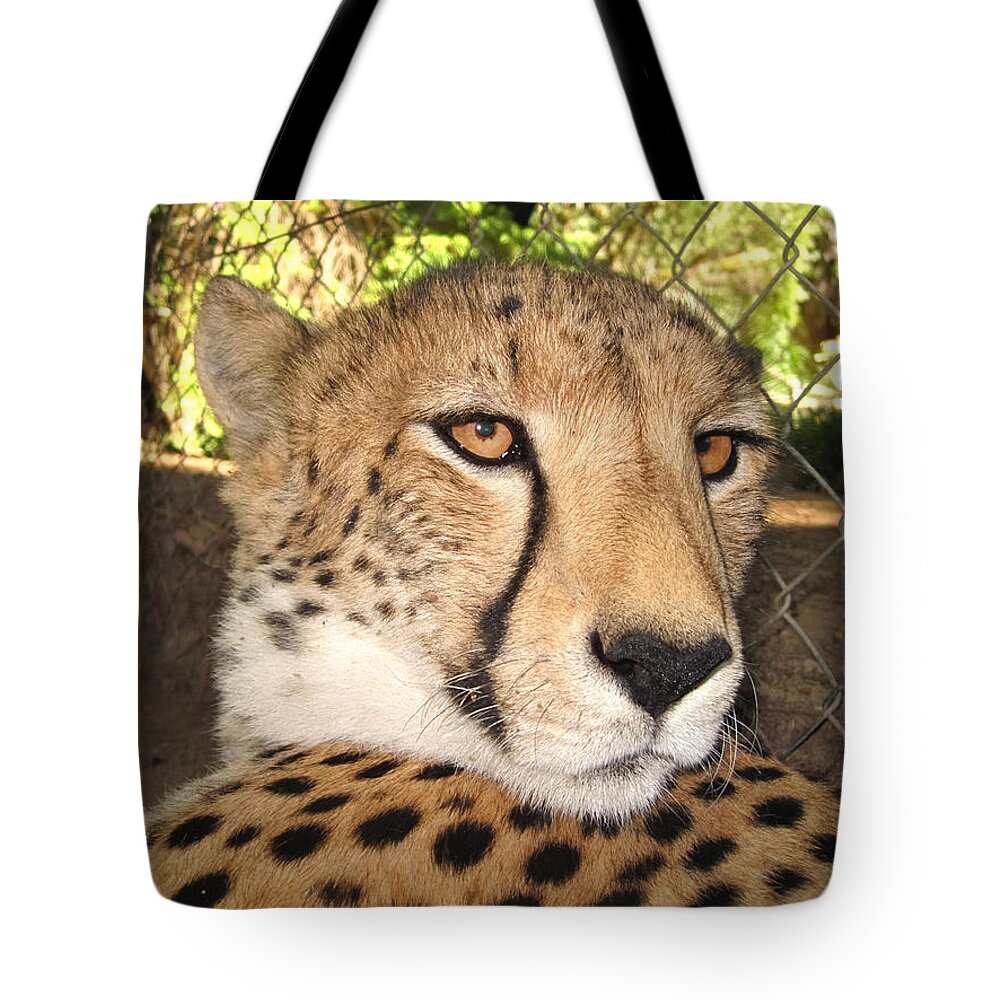 100217 Rep South Africa Expedition Tote Bag featuring the photograph Poker Player by Gregory Daley MPSA