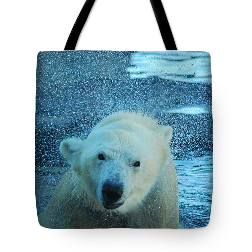 Polar Bear Tote Bag featuring the photograph Polar Bear 20150117_166 by Tina Hopkins