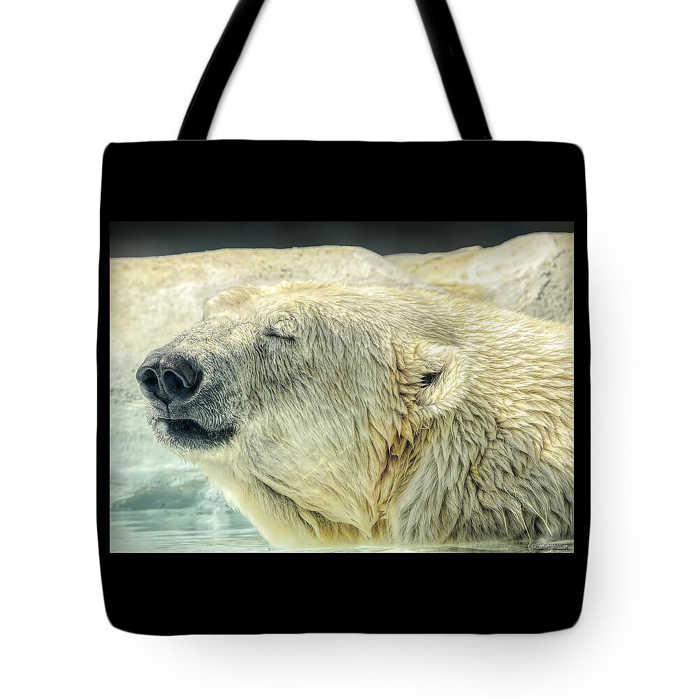 Polar Bear Tote Bag featuring the photograph Polar Bear by LeeAnn McLaneGoetz McLaneGoetzStudioLLCcom