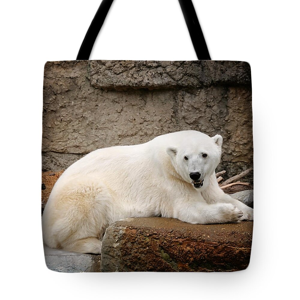 Polar Tote Bag featuring the photograph Polar Bear Smile by Deana Glenz