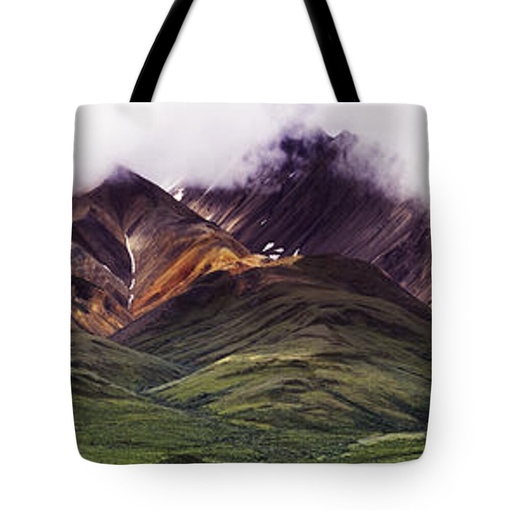 Polychrome Tote Bag featuring the photograph Polychrome by Rebecca Snyder