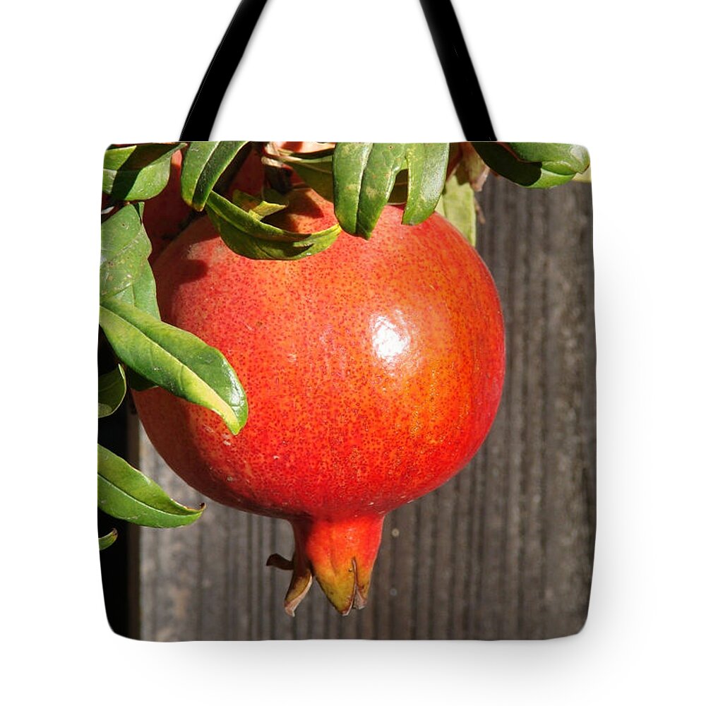 Pomegranate Tote Bag featuring the photograph Pomegranate by Liz Vernand