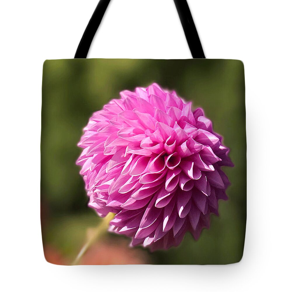 Florals Tote Bag featuring the photograph PomPon Dahlia by Arlene Carmel