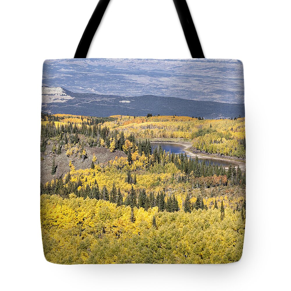 Grand Mesa Tote Bag featuring the photograph Pond and Mesa by Denise Bush