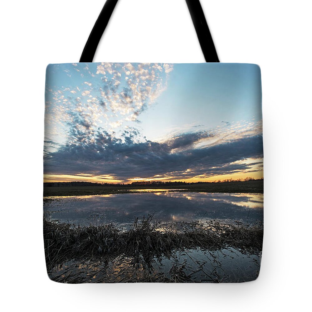 Pond Tote Bag featuring the photograph Pond and Sky Reflection2 by Steve Somerville