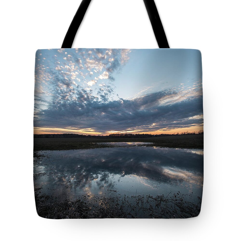 Pond Tote Bag featuring the photograph Pond and Sky Reflection3A by Steve Somerville
