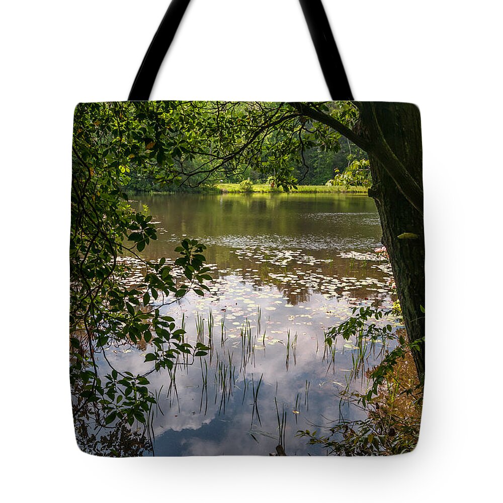 Tree Tote Bag featuring the photograph Pond in Spring by James L Bartlett