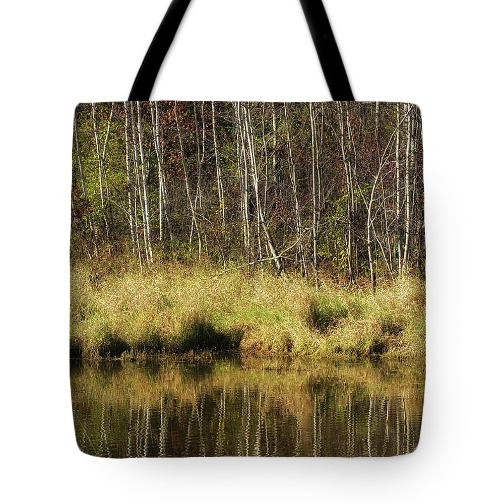 Pond Tote Bag featuring the photograph Pond Reflections by Jimmy Ostgard