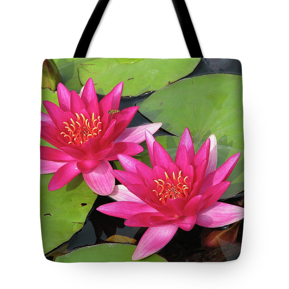 Pond Tote Bag featuring the photograph Pond Scene by Ted Keller