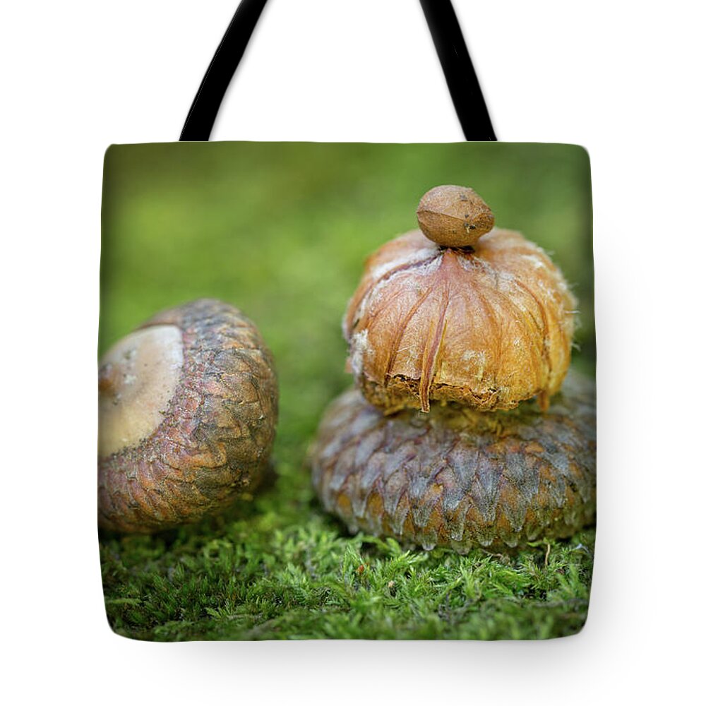 Pondering With Nature Tote Bag featuring the photograph Pondering With Nature by Dale Kincaid