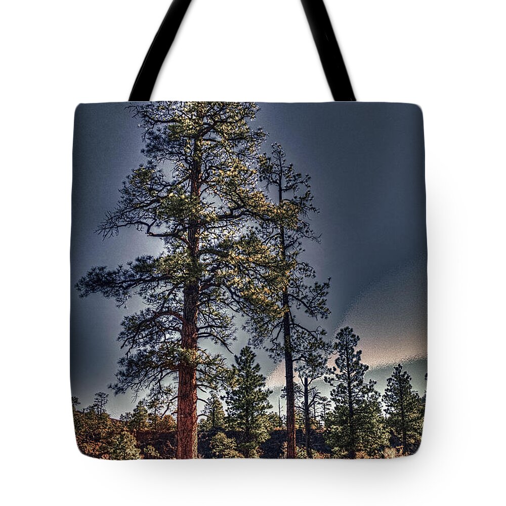 Pictorial Tote Bag featuring the photograph Ponderosa Pines at the Bonito Lava Flow by Roger Passman
