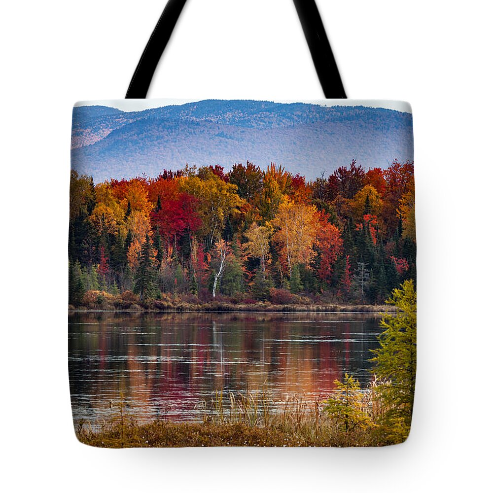 Pondicherry Wildlife Conservation Tote Bag featuring the photograph Pondicherry fall foliage reflection by Jeff Folger