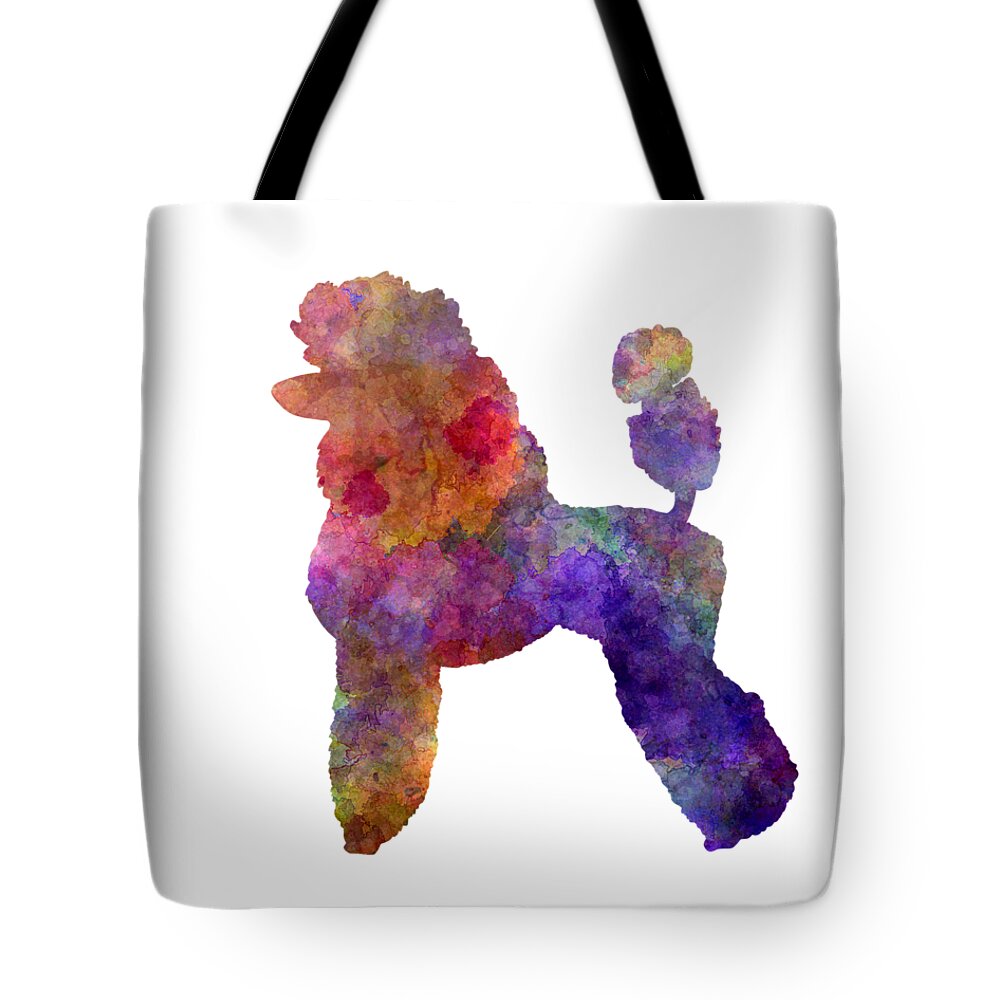 Poodle Tote Bag featuring the painting Poodle in watercolor by Pablo Romero