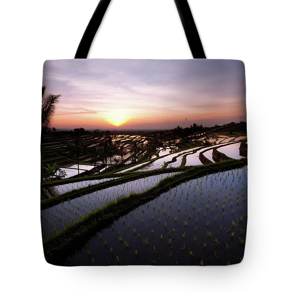 Rice Tote Bag featuring the photograph Pools of Rice by Andrew Kumler