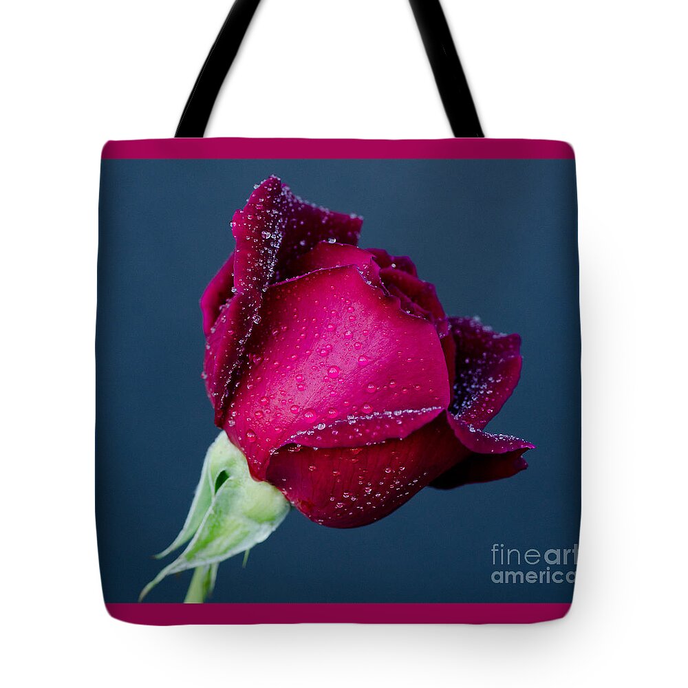 Spring Tote Bag featuring the photograph Pour Some Sugar On Me by Nick Boren