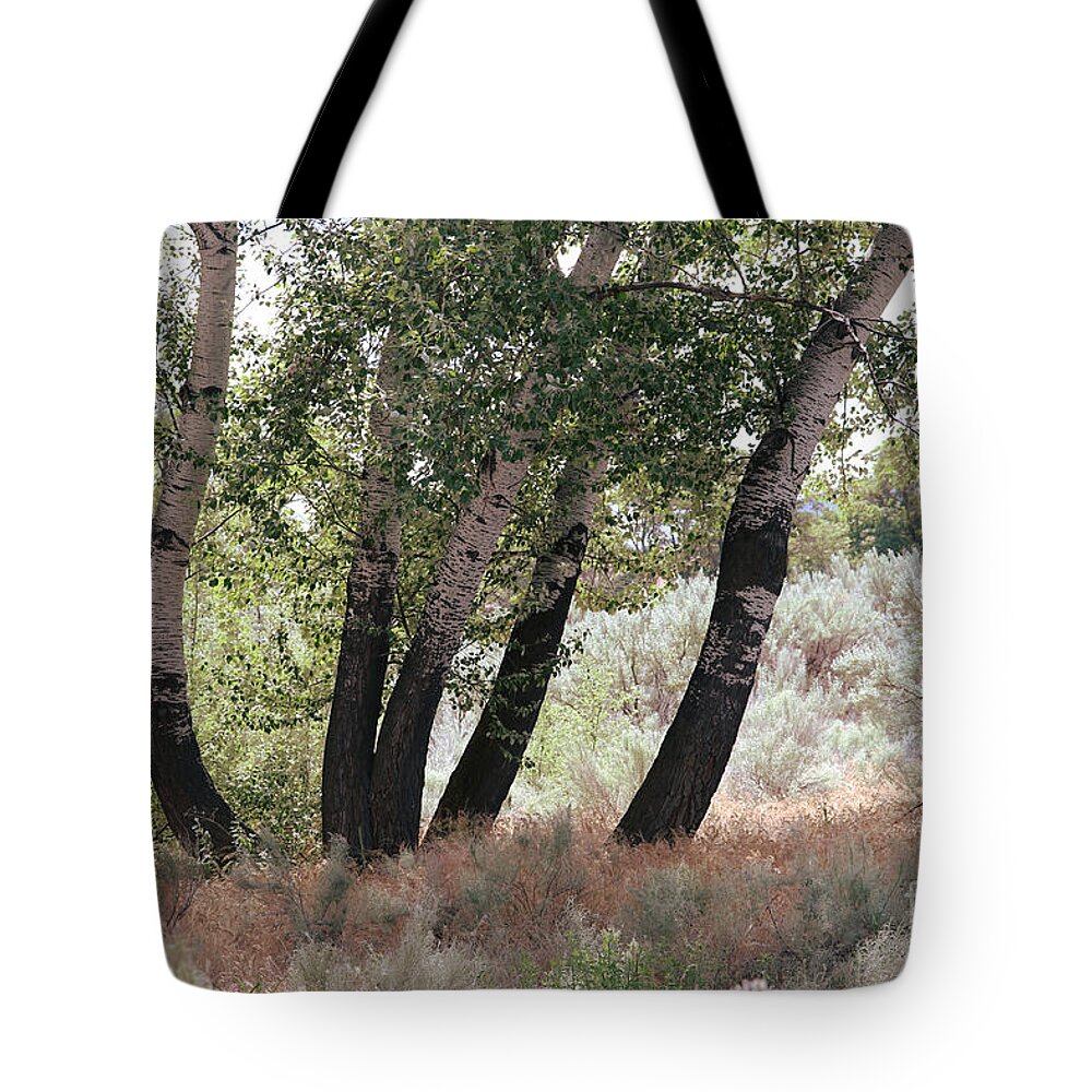 Trees Tote Bag featuring the photograph Poplar Trees and Sagebrush by Carol Groenen