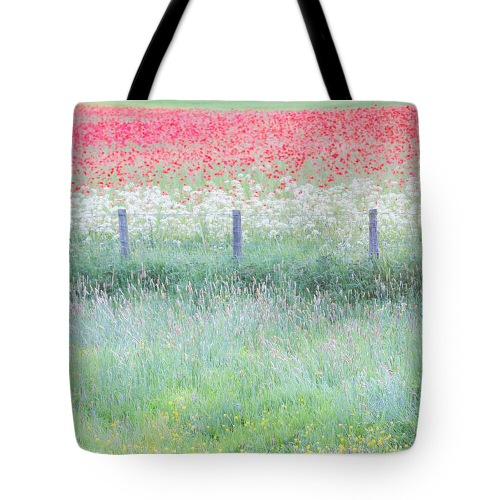 Poppies Tote Bag featuring the photograph Poppies and buttercups, wild flower English meadow by Anita Nicholson