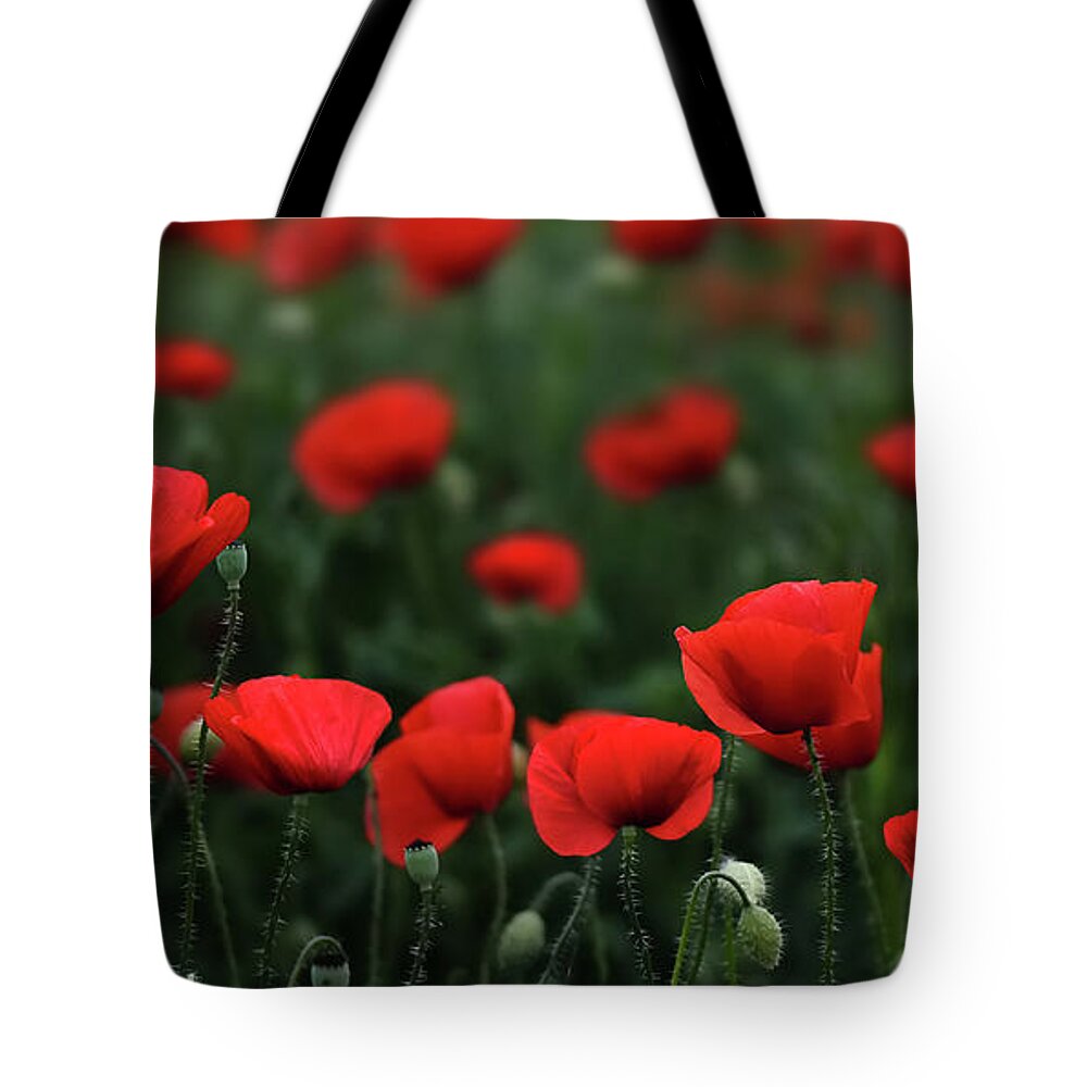 Agriculture Tote Bag featuring the photograph Poppies by Bess Hamiti