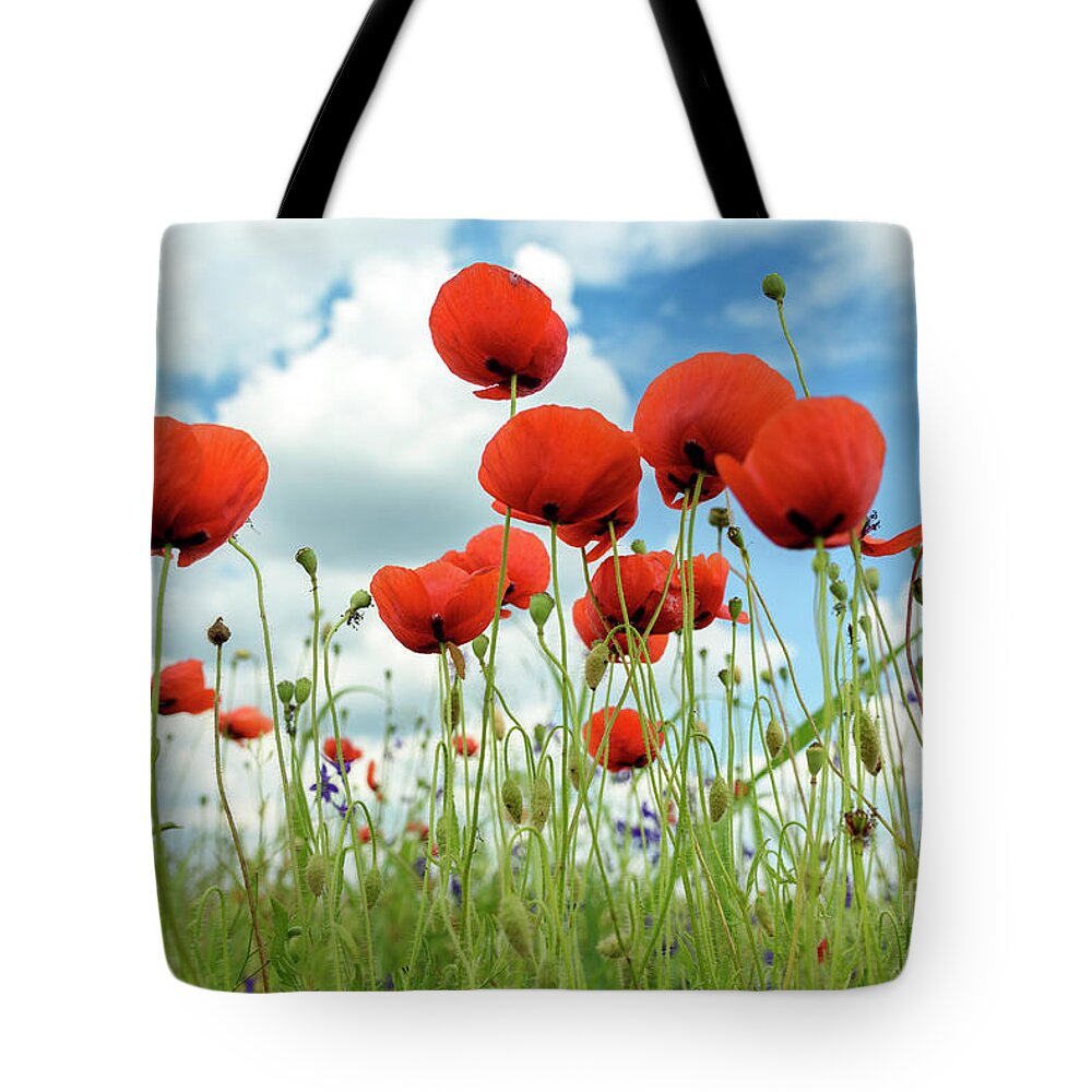Poppy Tote Bag featuring the photograph Poppies in field by Jelena Jovanovic