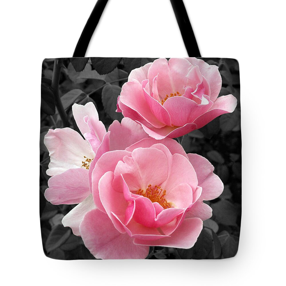 Flower Tote Bag featuring the photograph Popping Pink Roses by Amy Fose