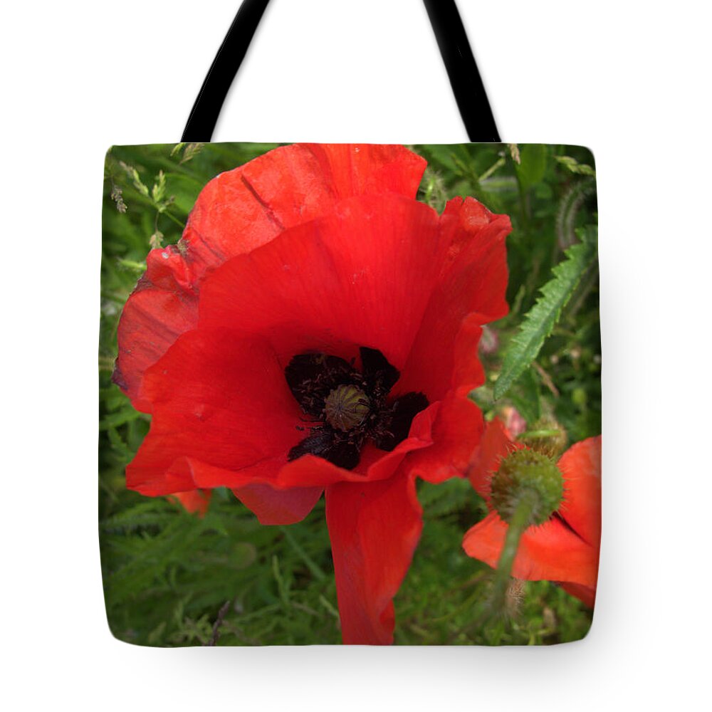 Poppy Tote Bag featuring the photograph Poppy by Andy Thompson