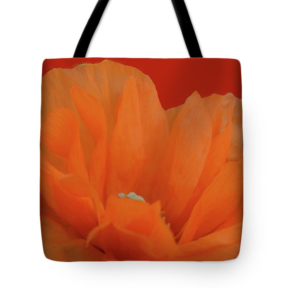 Flowers Tote Bag featuring the photograph Poppy Art # 4 by Jimmy Chuck Smith