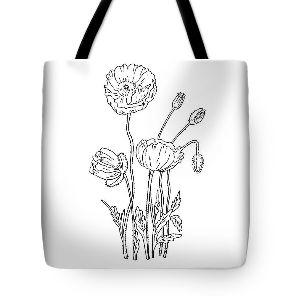 Poppy Flower Botanical Drawing Black And White Tote Bag For Sale