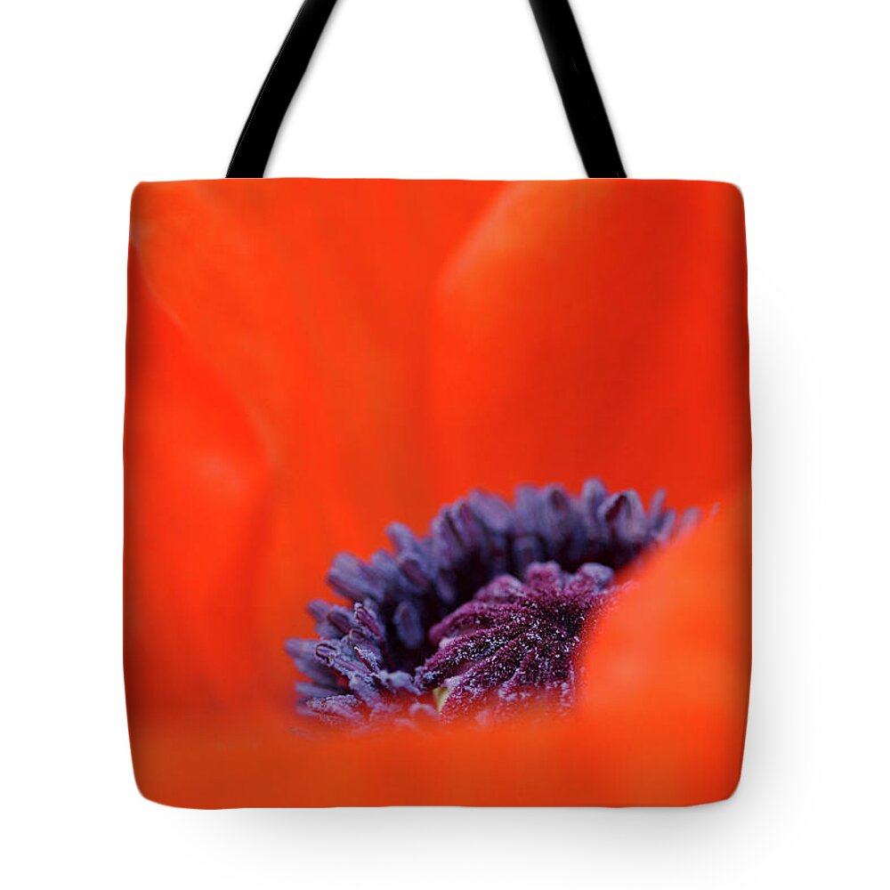Oriental Poppy Tote Bag featuring the photograph Poppy Heart by Debbie Oppermann