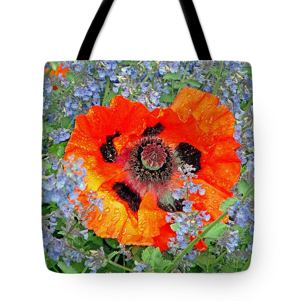 Poppy Tote Bag featuring the photograph Poppy in Blue by Robert Meyers-Lussier
