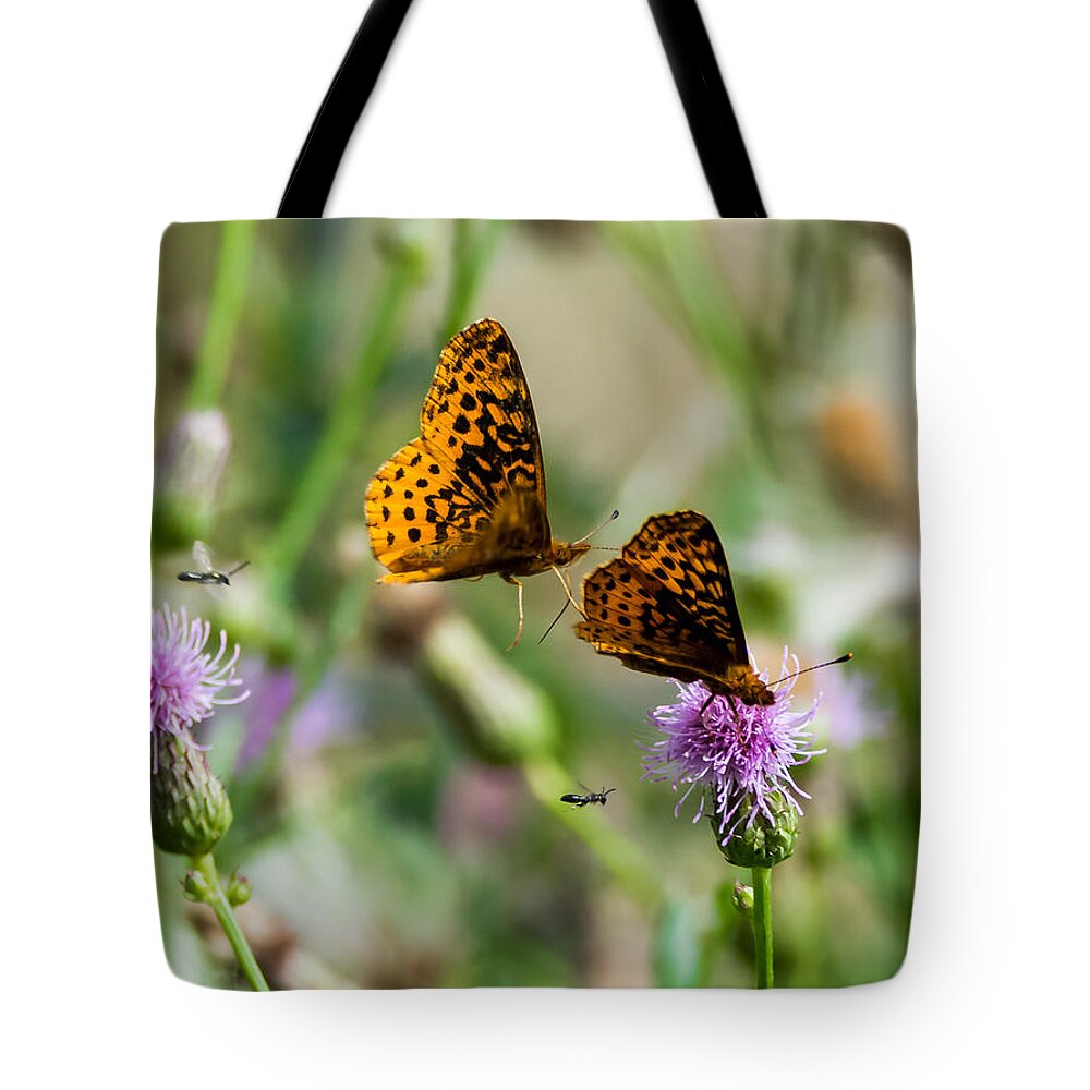 Great Spangled Fritillary Tote Bag featuring the photograph Popular Plant by Holden The Moment