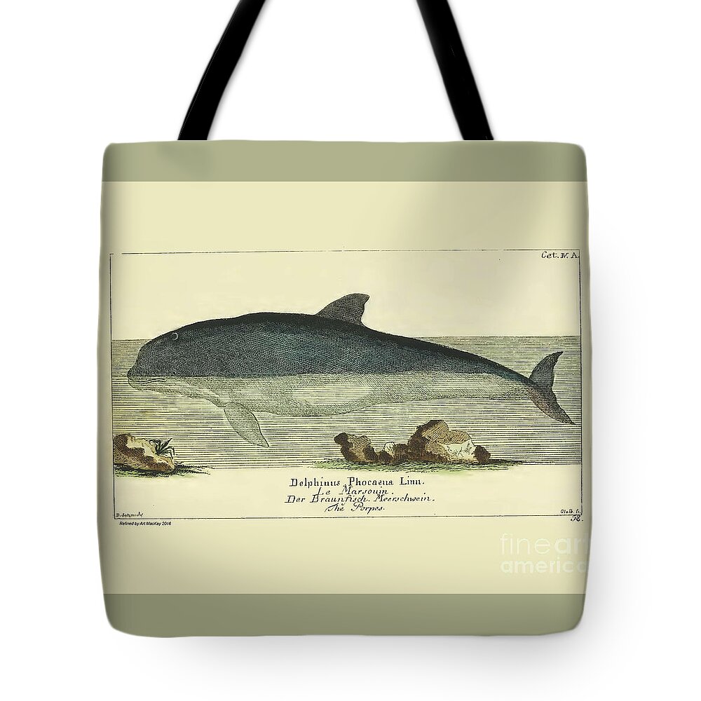 Gottlieb August Lange Tote Bag featuring the drawing Porpoise by G.A. Lange 1780 by Art MacKay