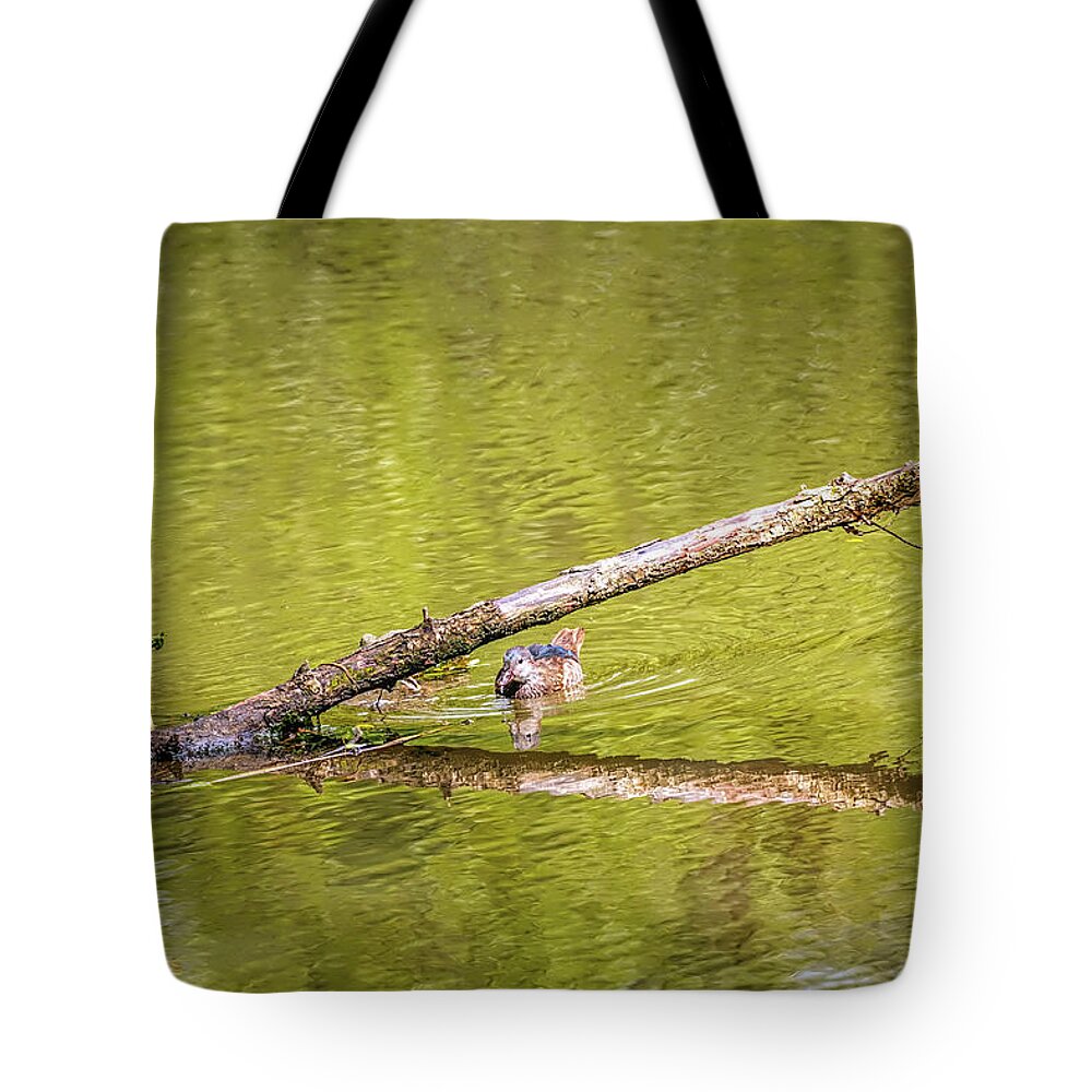 Portal Tote Bag featuring the photograph Portal May 2016 by Leif Sohlman