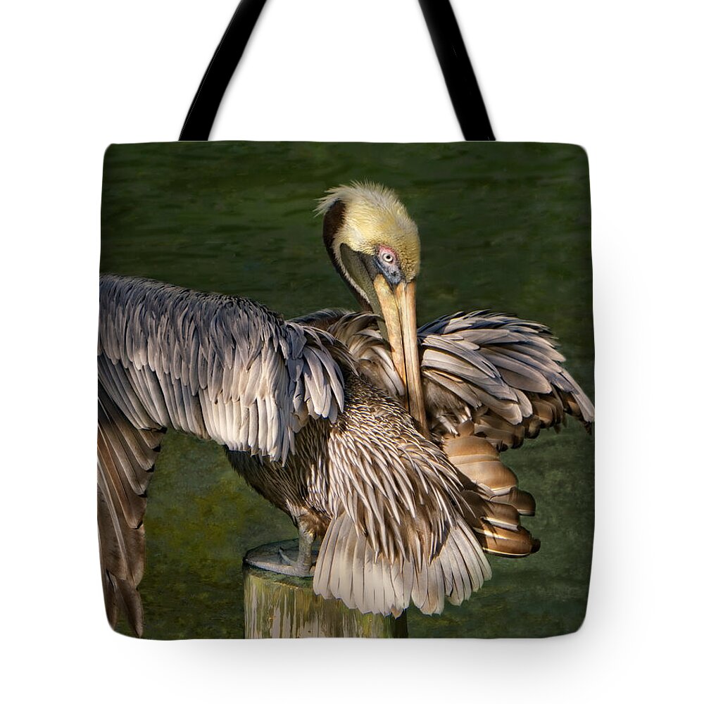 Pelican Tote Bag featuring the photograph Portrait of a Brown Pelican Preening by Mitch Spence