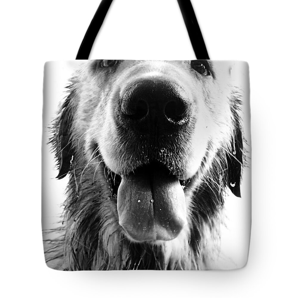 #faatoppicks Tote Bag featuring the photograph Portrait of a Happy Dog by Osvaldo Hamer
