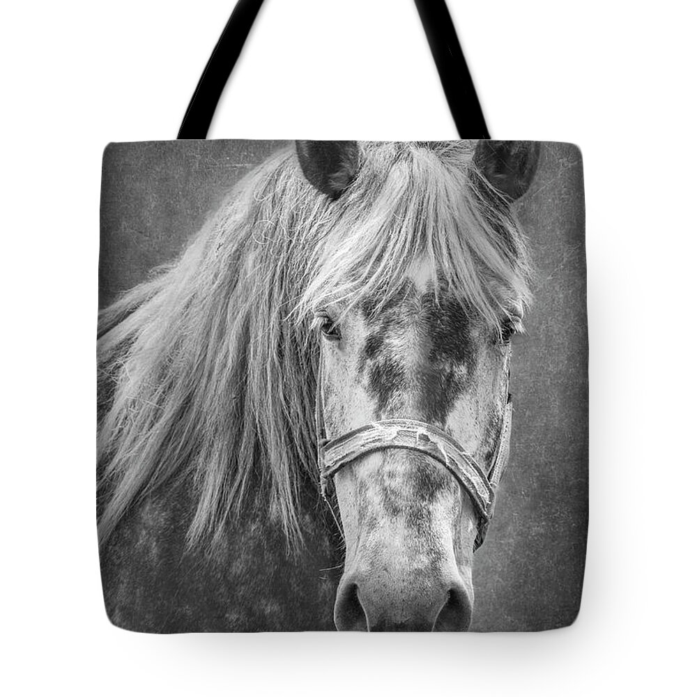 Animal Tote Bag featuring the photograph Portrait of a Horse by Tom Mc Nemar