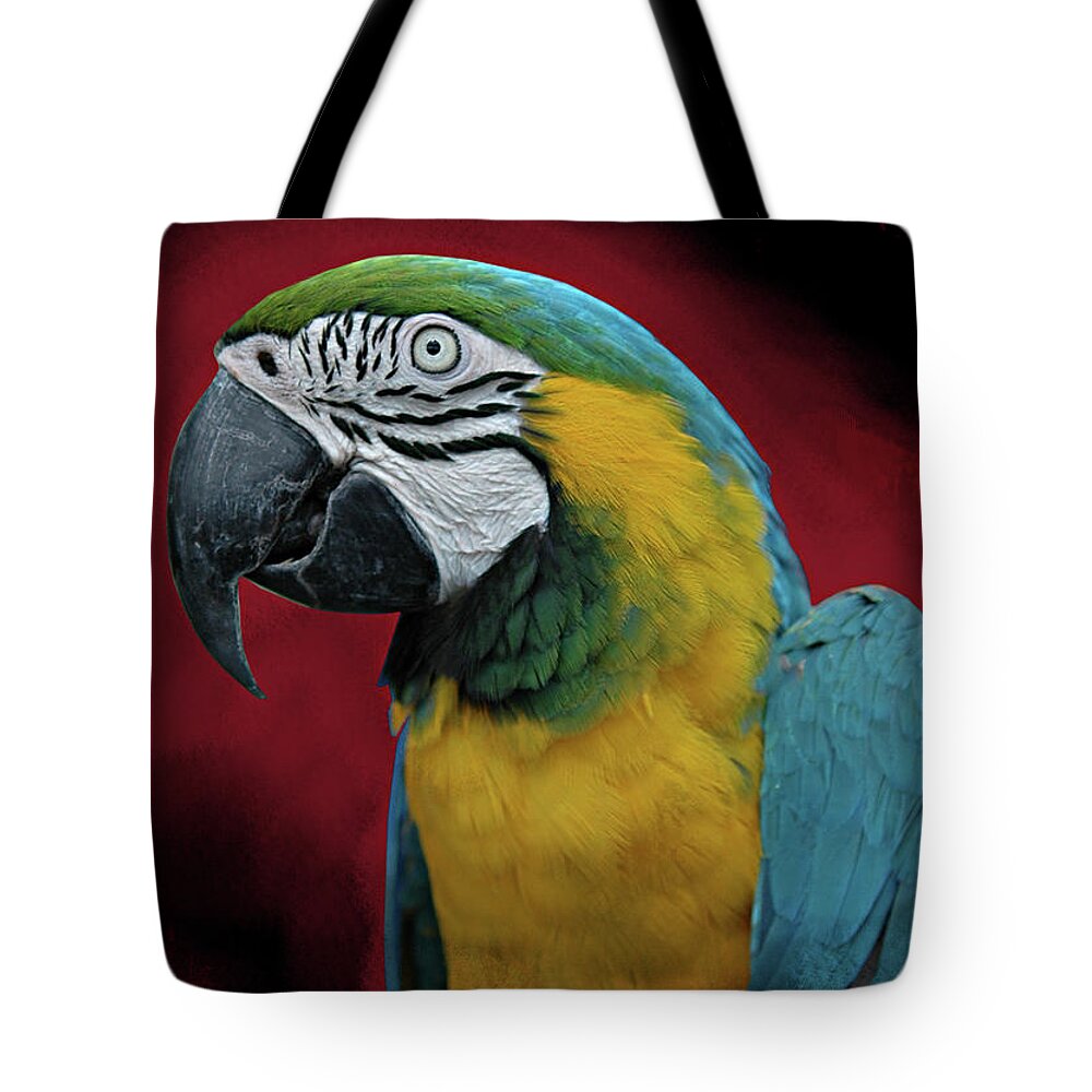 Bird Tote Bag featuring the photograph Portrait of a Parrot by Jeff Burgess