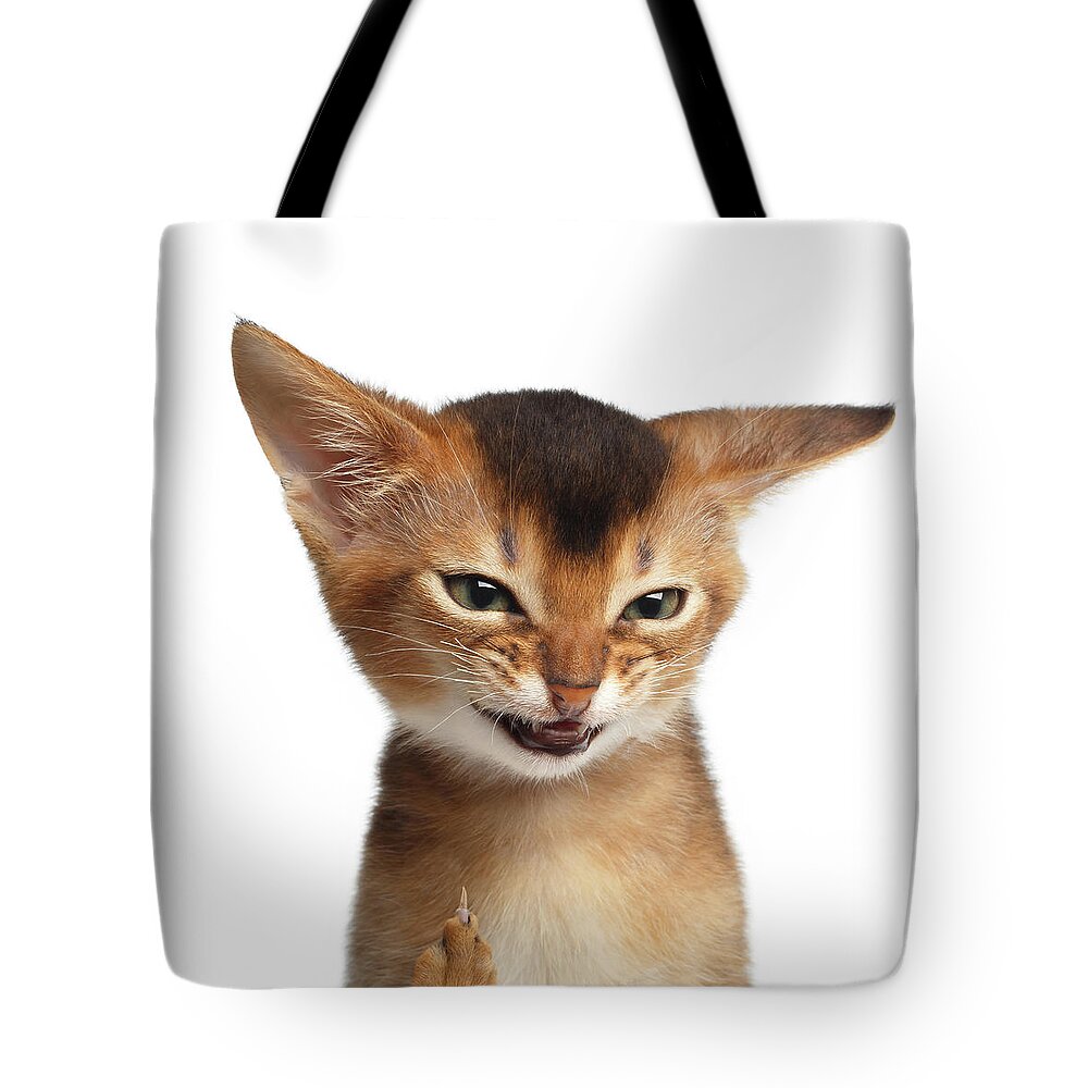 Kitten Tote Bag featuring the photograph Portrait of Kitten with showing Middle finger by Sergey Taran