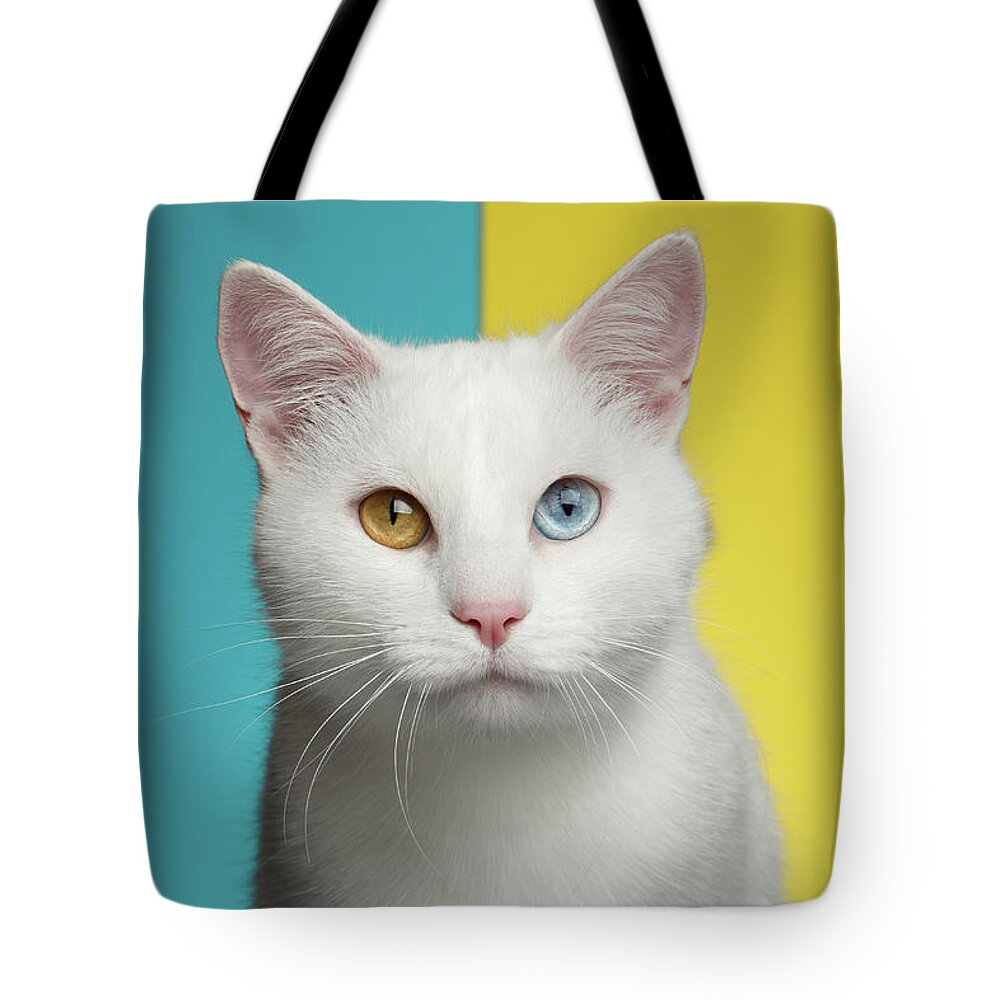 Cat Tote Bag featuring the photograph Portrait of White Cat on Blue and Yellow Background by Sergey Taran