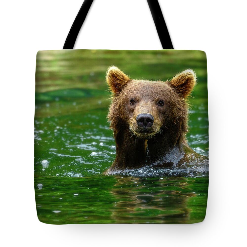 Pose Tote Bag featuring the photograph Pose by Chad Dutson