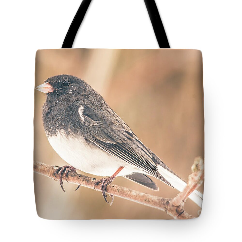 Cheryl Baxter Photography Tote Bag featuring the photograph Posing Junco by Cheryl Baxter