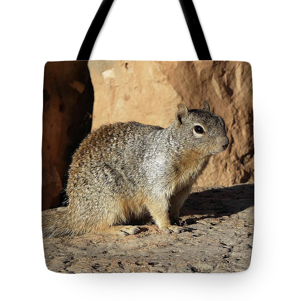 Usa Tote Bag featuring the pyrography Posing squirrel by Magnus Haellquist