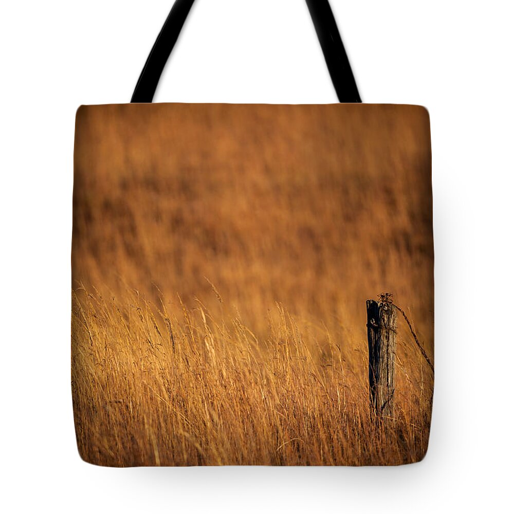 Fence Tote Bag featuring the photograph Post Abandoned by Jeff Phillippi