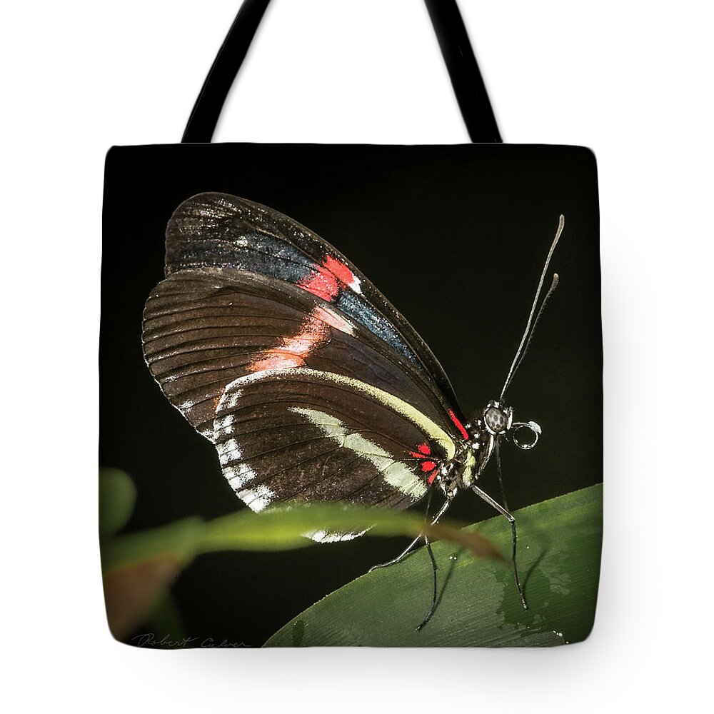 Butterfly Tote Bag featuring the photograph Post Man by Robert Culver