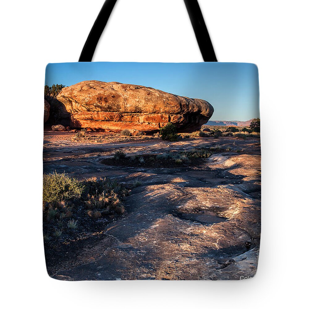 Canyonlands Landscape Tote Bag featuring the photograph Pot Hole Trail by Jim Garrison