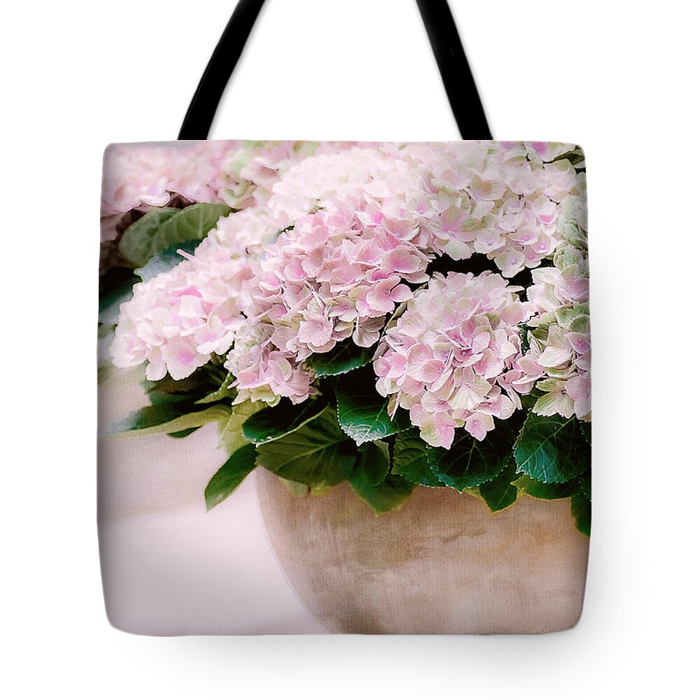 Hydraneas Tote Bag featuring the photograph Pot of Hydrangeas by Julie Palencia